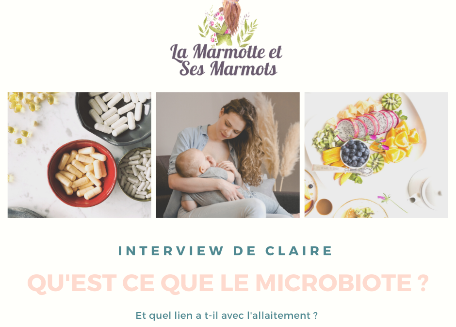 interview de Claire : le microbiote du bébé allaité